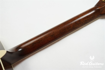 D-41 Standard